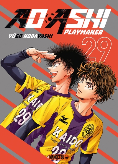 Ao Ashi - Playmaker - T29