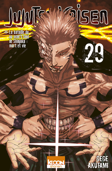 Jujutsu kaisen - T29