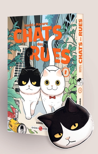 Hachi & Maruru - Chats des rues - T01 + magnet offert - édition limitée