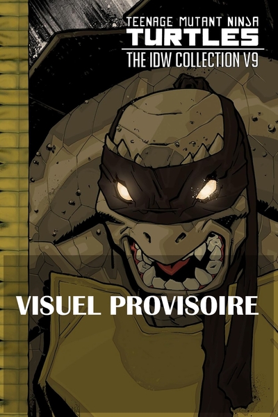Teenage Mutant Ninja Turtles - Les Tortues Ninja  - INT09